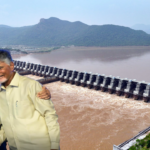 ప్యాకెట్ పెరుగు vs ఇంట్లో తోడుపెట్టిన పెరుగు ఏది ఆరోగ్యానికి మేలు.?