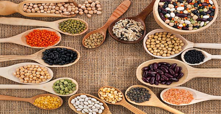 top five seeds for high protein and health benefits tips