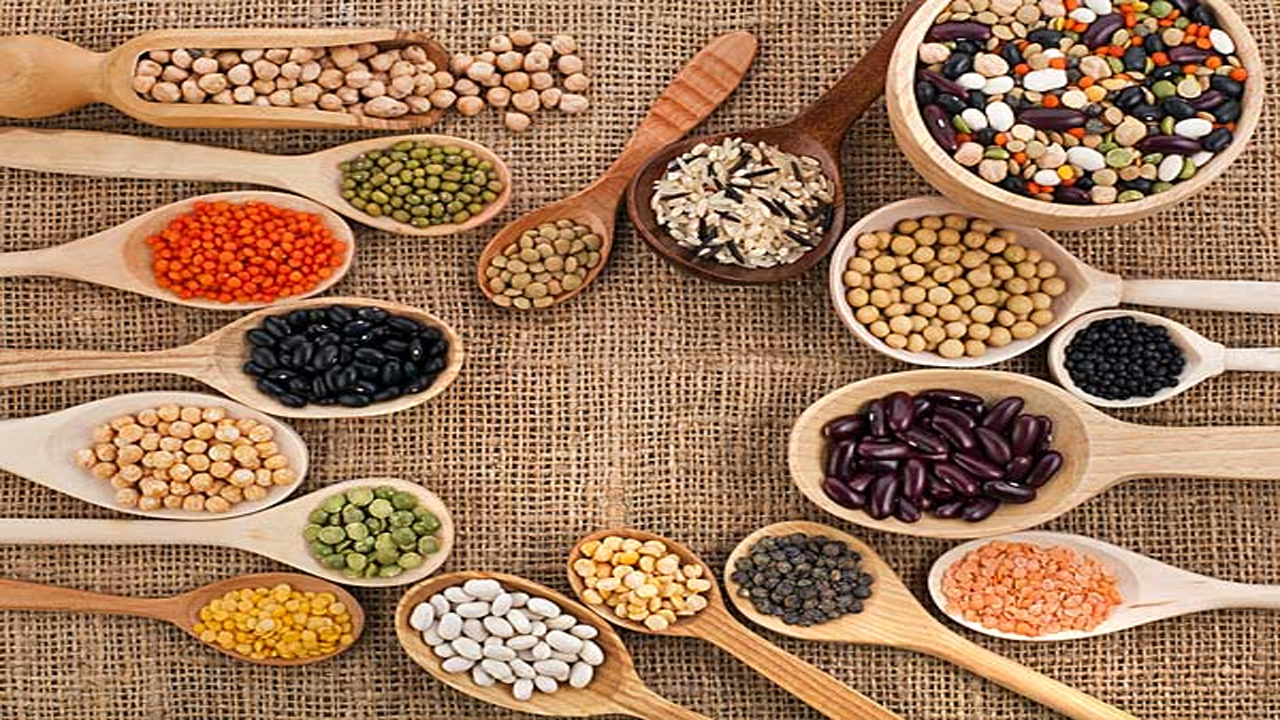top five seeds for high protein and health benefits tips
