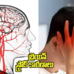 చైనాను ఊపేస్తోన్న తెలుగు సినిమా పాట.. ‘ ప్రభాస్,త్రిష సాంగ్ కు చైనీస్ యువతి అద్భుత నృత్యం!